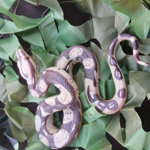 71845821_121047215963870_7122542067380649984_n