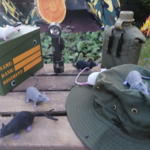 72212385_121048859297039_1106479722587488256_n